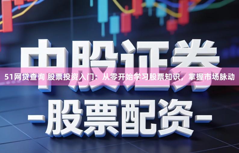 51网贷查询 股票投资入门:从零开始学习股票知识,掌握市场脉动