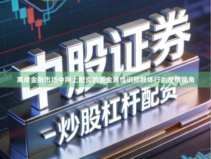 离岸金融市场中网上配资的资金属性识别群体行为反馈视角