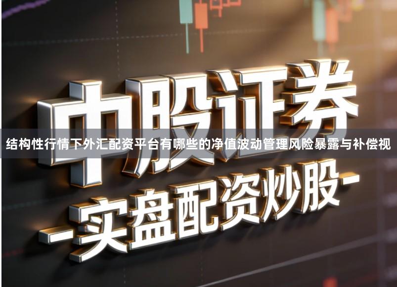 结构性行情下外汇配资平台有哪些的净值波动管理风险暴露与补偿视