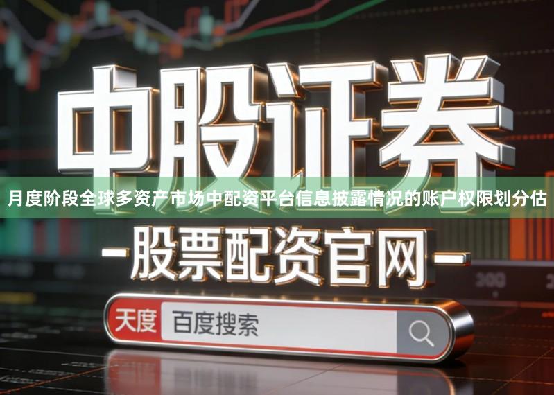 月度阶段全球多资产市场中配资平台信息披露情况的账户权限划分估