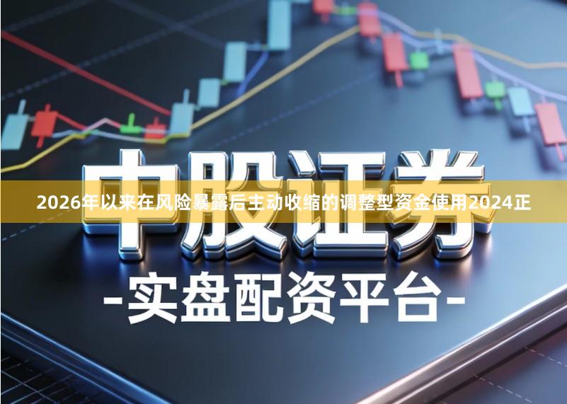 2026年以来在风险暴露后主动收缩的调整型资金使用2024正