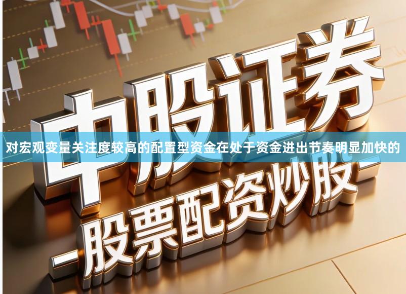 对宏观变量关注度较高的配置型资金在处于资金进出节奏明显加快的