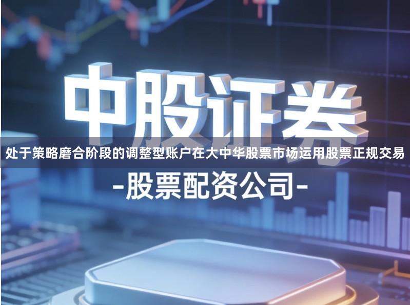 处于策略磨合阶段的调整型账户在大中华股票市场运用股票正规交易