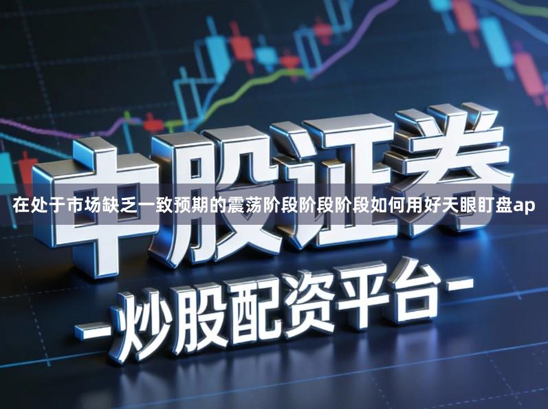 在处于市场缺乏一致预期的震荡阶段阶段阶段如何用好天眼盯盘ap